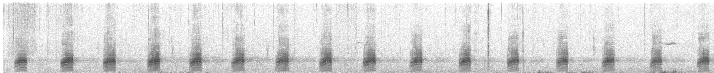 Stockente - ML433535781