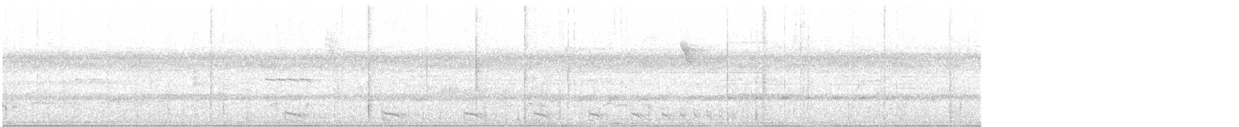 Band-tailed Antshrike - ML433537001
