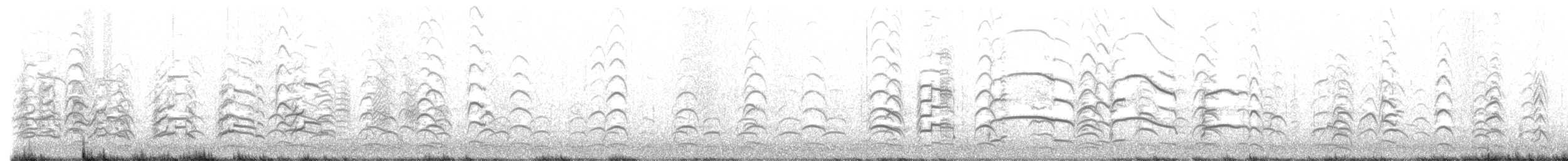 Short-billed Gull - ML433575631