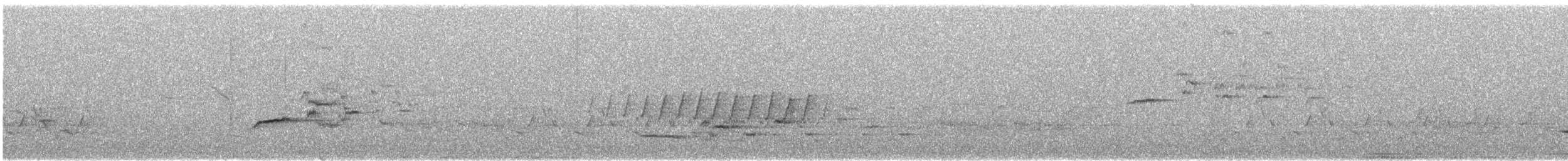Дрізд-короткодзьоб плямистоволий - ML433606261