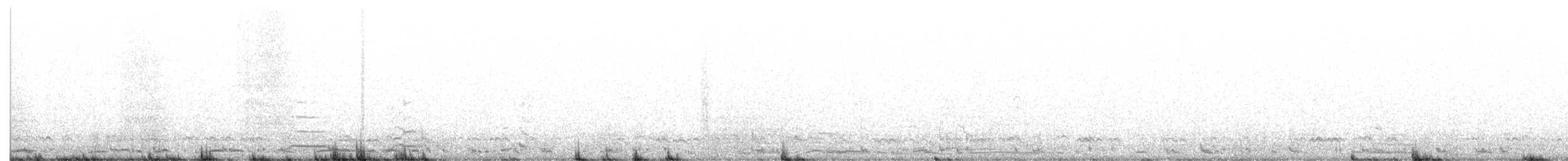 Cygne siffleur - ML433661051