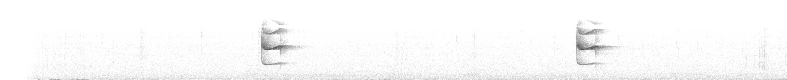 Boz Kuşaklı Yerçavuşu - ML433708011