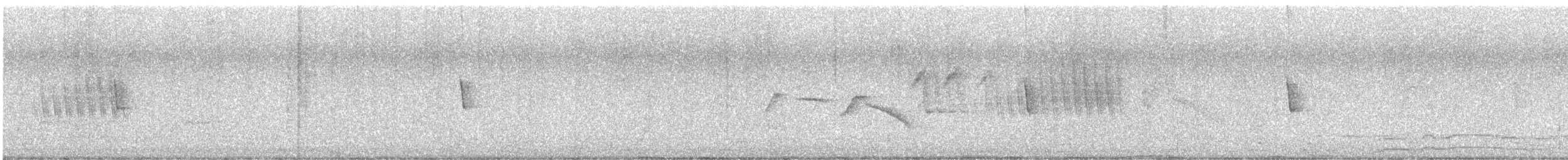 Band-tailed Seedeater - ML433711641