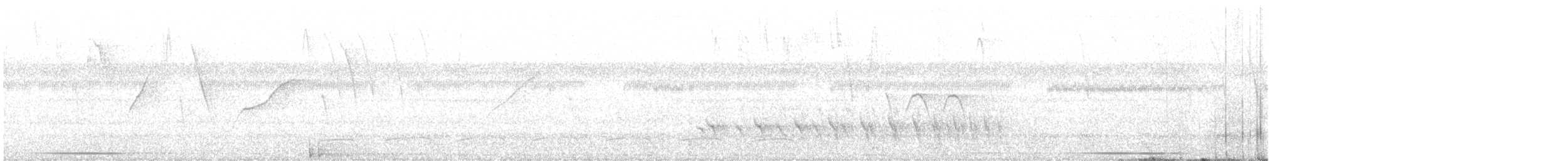 Spot-tailed Antwren - ML433776291