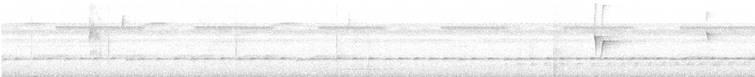 Painted Tody-Flycatcher - ML433777951