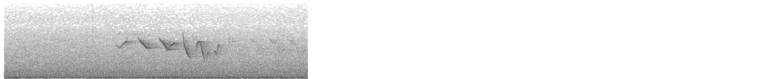 Louisiana Waterthrush - ML433868121