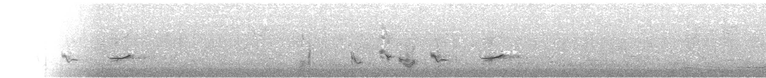 Oriole cul-noir - ML433904171