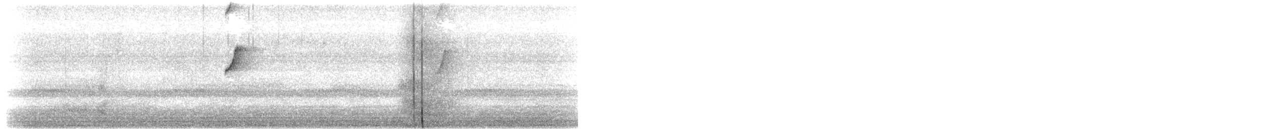 Краснохвостый колибри-отшельник - ML433918271