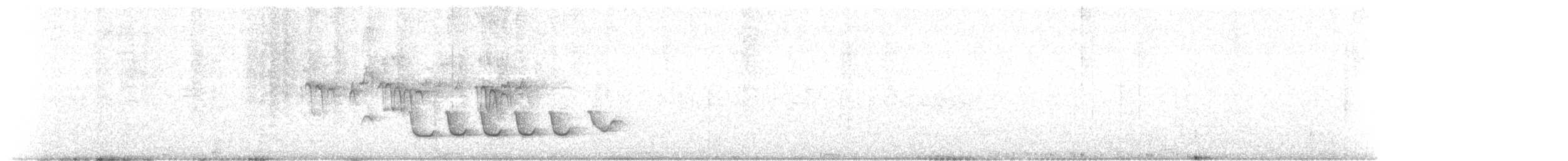 Белокрылый бекард - ML433921001
