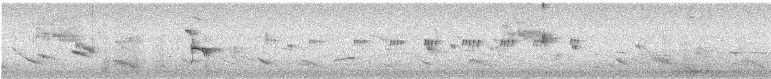Tumbesschnäppertyrann - ML433931161