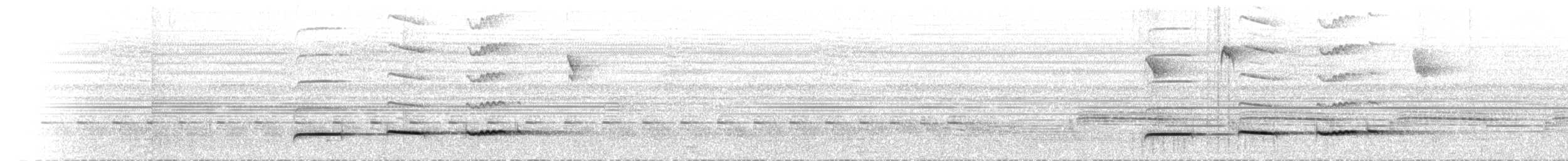 Pheasant Cuckoo - ML434061161