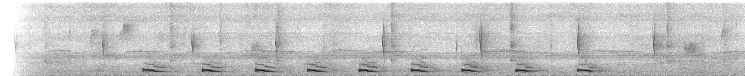 ギンムネカッコウ - ML434066881