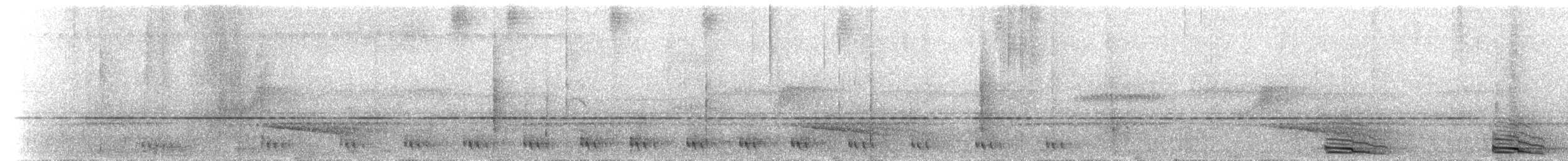 ギンムネカッコウ - ML434066901