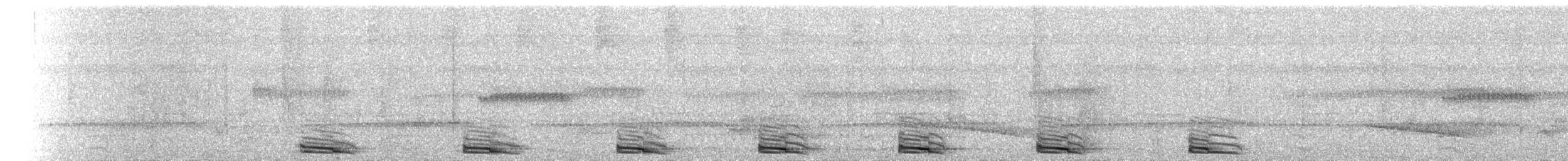 ギンムネカッコウ - ML434066911