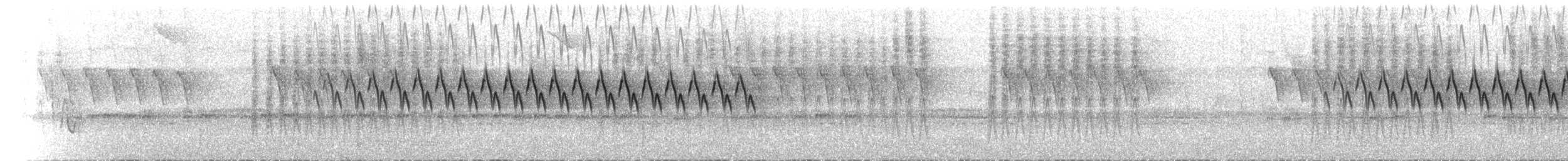 Troglodyte denté - ML434067001