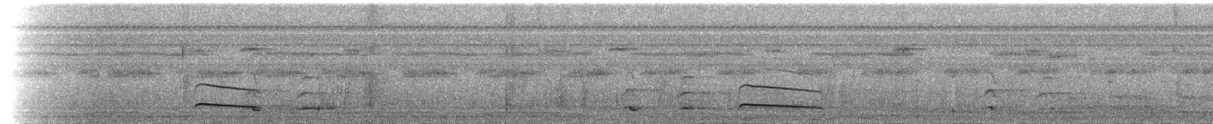 brunbeltedovenfugl - ML434069561