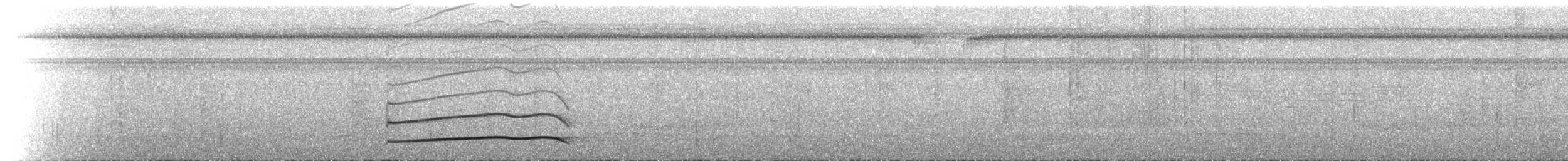 Тиран-плоскодзьоб рудохвостий - ML434070301