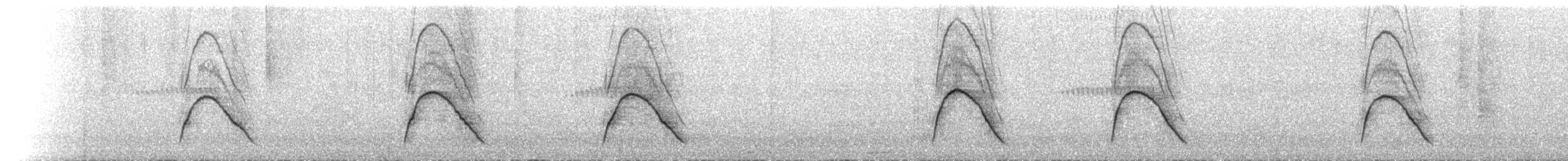 Nacktgesichthokko (fasciolata/grayi) - ML434076361