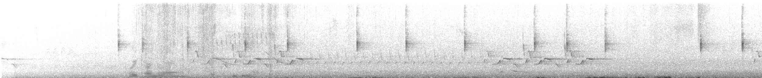 strømparula - ML434137581