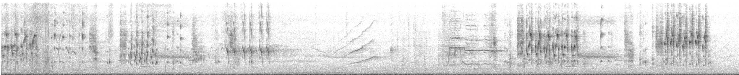 Troglodyte des marais - ML434148041