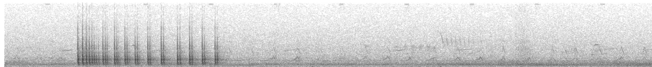 Дятел-смоктун білочеревий - ML434197371