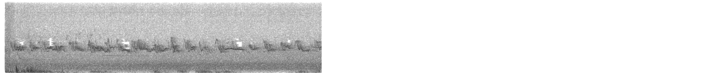 Graumantel-Brillenvogel - ML434252211