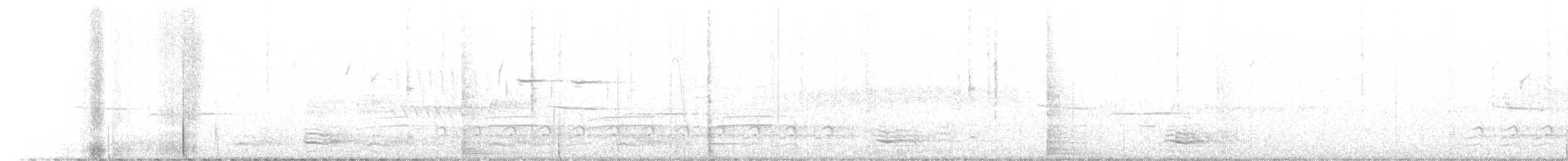 vrána/krkavec sp. - ML434326491
