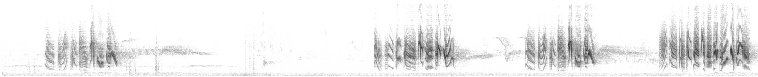 Braunaugenvireo (arizonae) - ML434395031