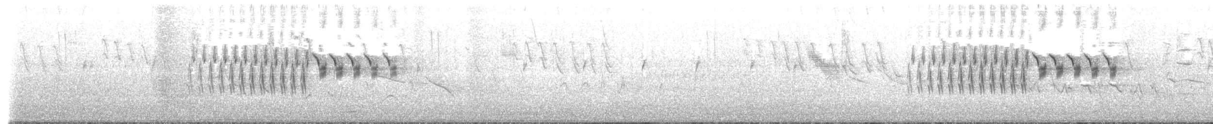 Neuweltammer, unbestimmt - ML434474641