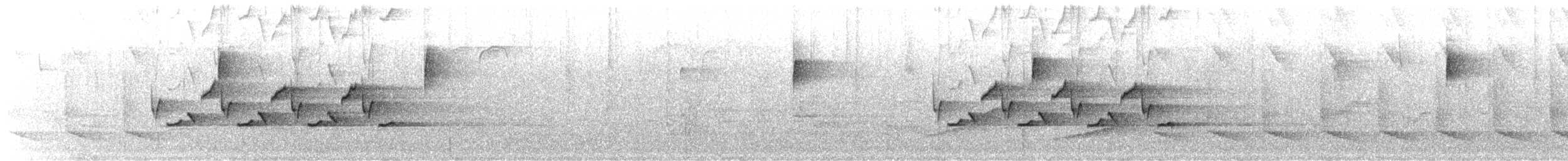 Поплітник каролінський - ML434521091