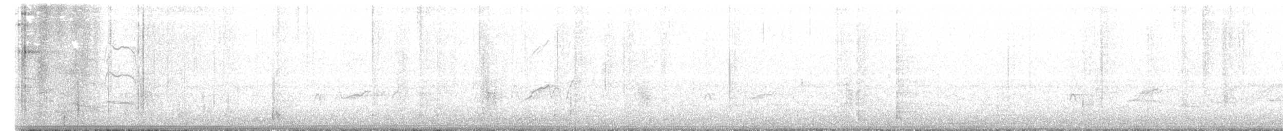 Kara Karınlı Islıkçı Ördek - ML434528551