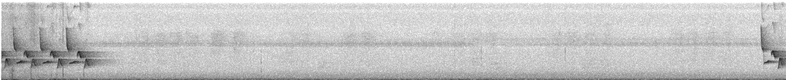Karolina Çıtkuşu - ML43455231