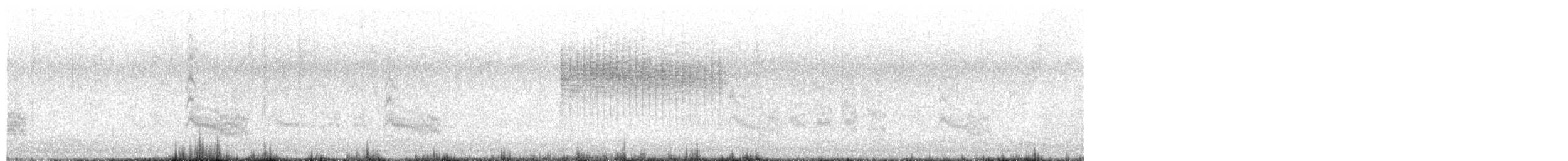 שחפית שחורת-אוזן - ML434606151