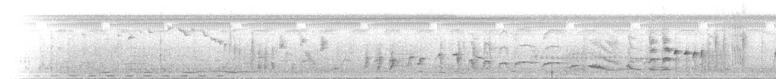 Золотокіс синьоплечий - ML434619281