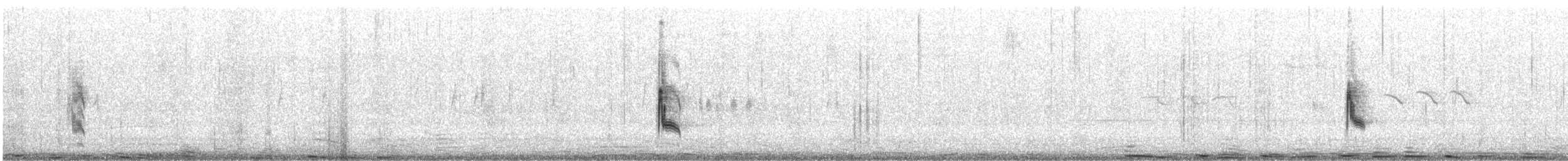 Сахалт хөх бух - ML434620241