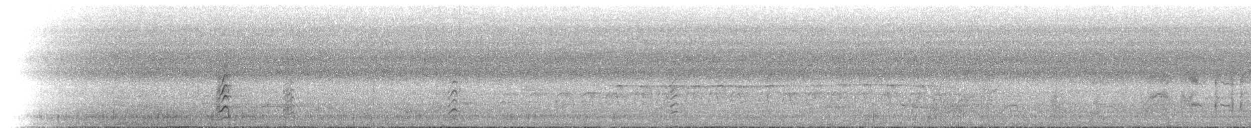 Western Dwarf Hornbill - ML434682241