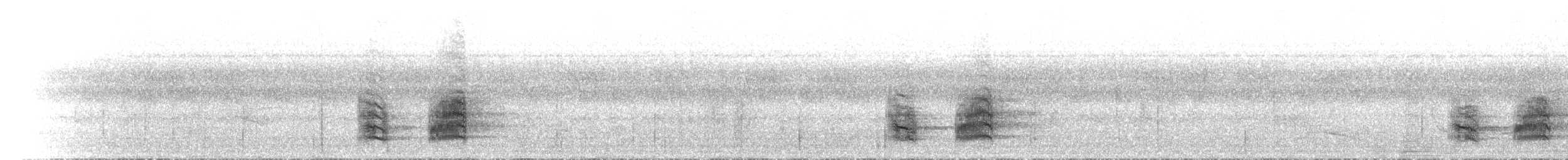 Синегорлый широкорот - ML434682351