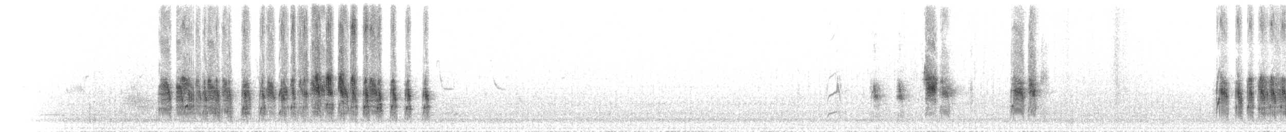 běhulíkovec pestrý - ML434759361