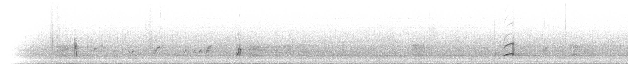 běhulíkovec pestrý - ML434759411