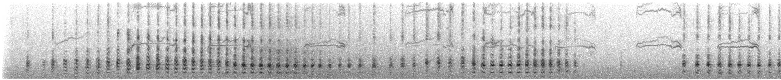 Sterne inca - ML434770601