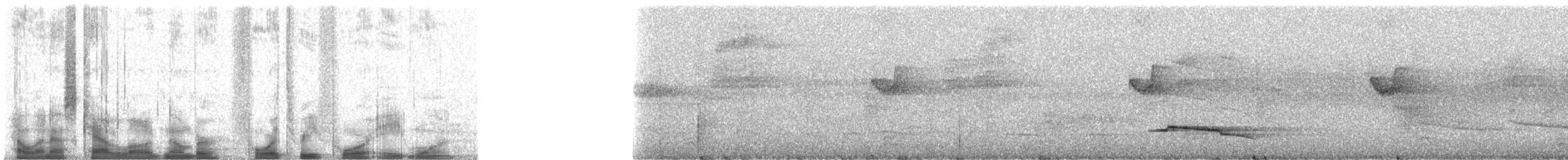 Ochraceous Attila - ML43481