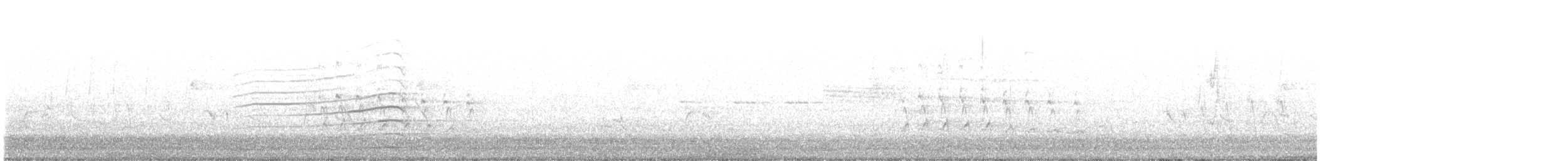 Chouette rayée - ML434872101