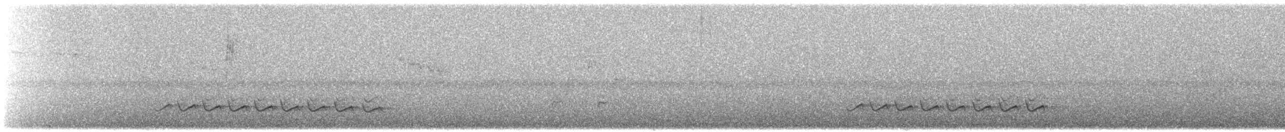 Weißbrustkleiber - ML434892701