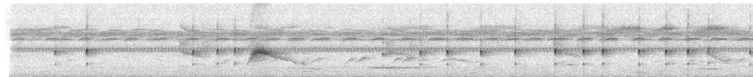 Texaskönigstyrann - ML434913311