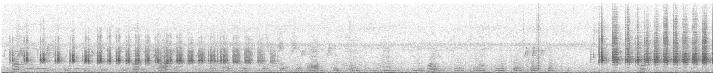 Austral-Schlangenhalsvogel - ML434961441