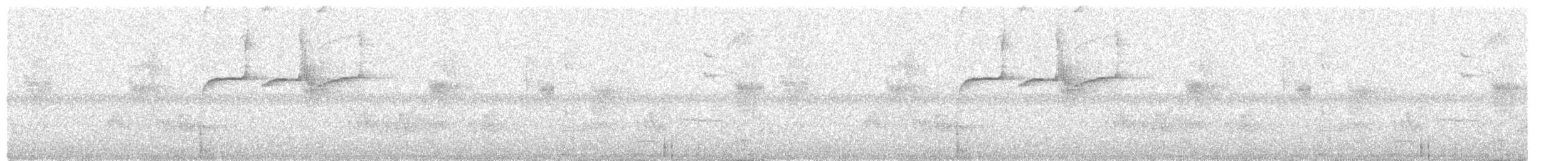 Тиранчик-довгохвіст болівійський - ML434998981