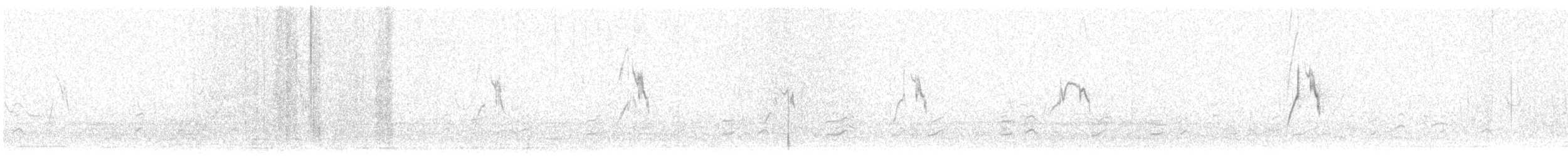 gulerle (cinereocapilla gr.) - ML435040861