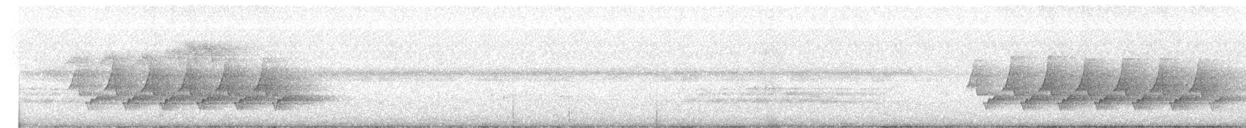 Каролинский крапивник - ML435048441