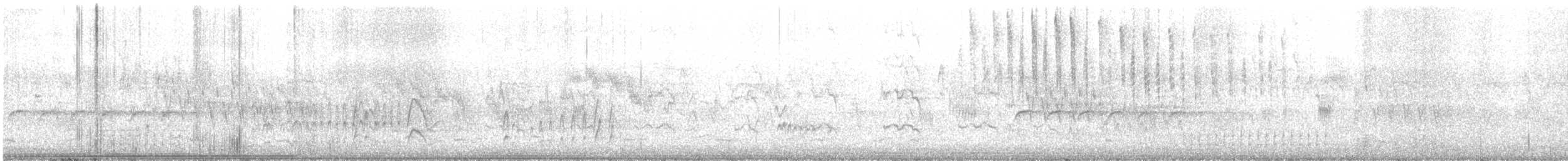 アメリカオシ - ML435055761