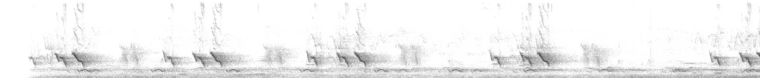 Allotrie siamoise (ripleyi) - ML435056771